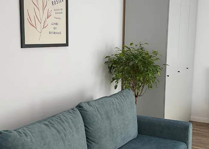 Nova Daire Kaloşvar