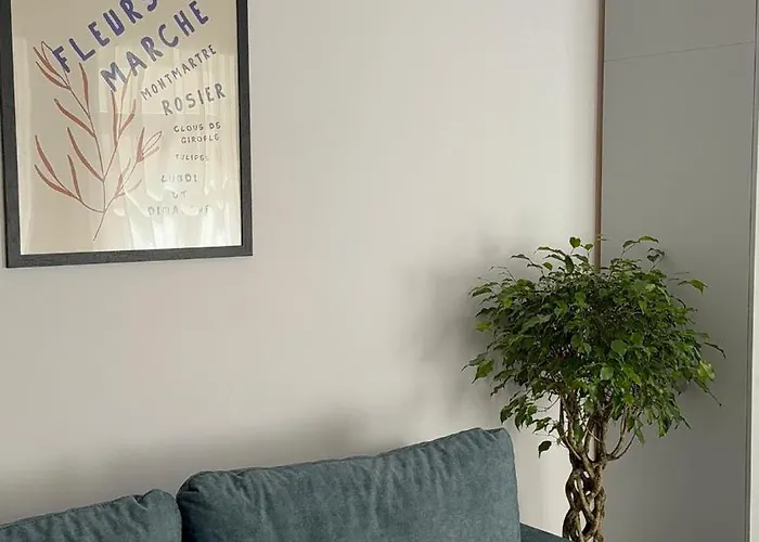 Daire Nova Kaloşvar