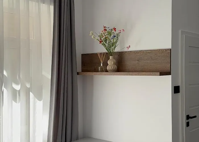 Nova Daire Kaloşvar